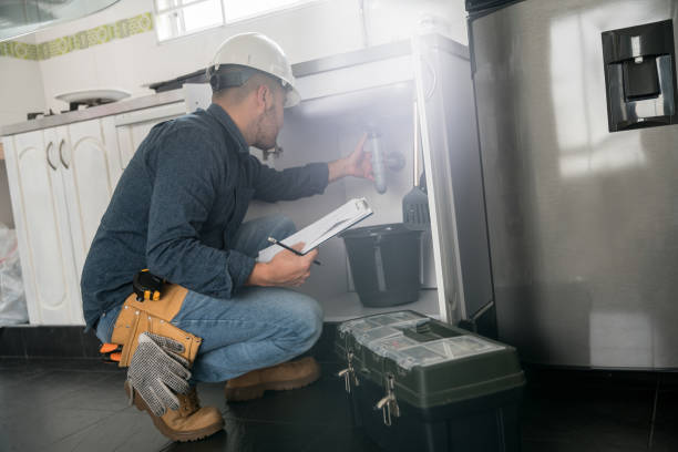 Best Plumbing Inspection Services  in St Jaco, IL
