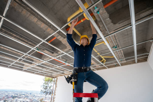 Best Toilet Repair Services  in St Jaco, IL